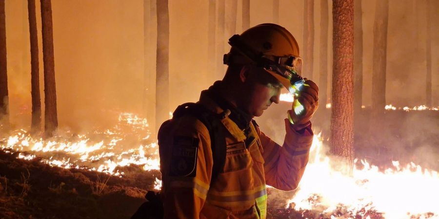 Waldbrand bei Beelitz: «Probieren einfach nur alles zu retten, was geht».