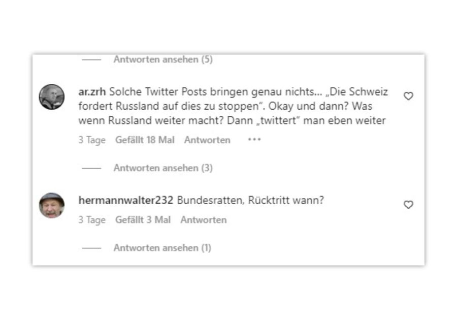 Bei einem Instagram-Beitrag, der vom Ukraine-Krieg handelt, nennt ein Nutzer die Bundesratsmitglieder «Bundesratten».