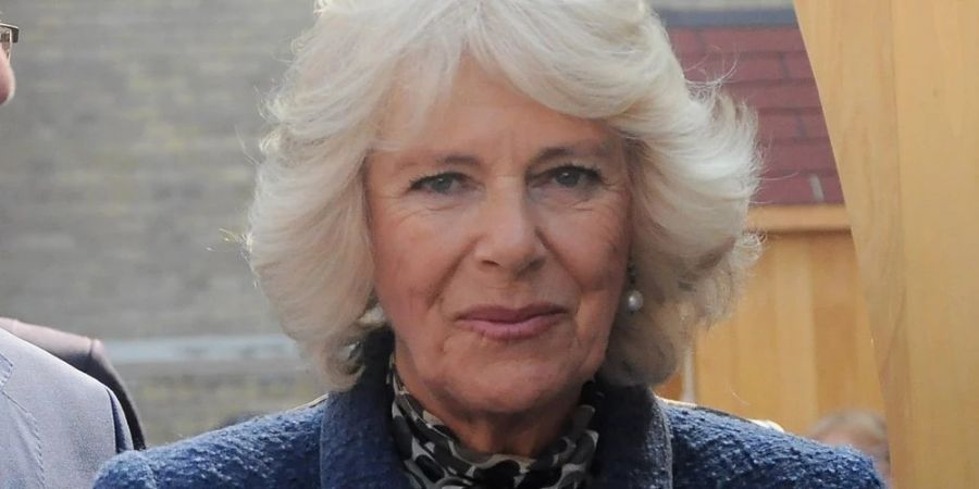 Wie wird Königsgemahlin Camilla in den neuen Enthüllungsbüchern dargestellt?