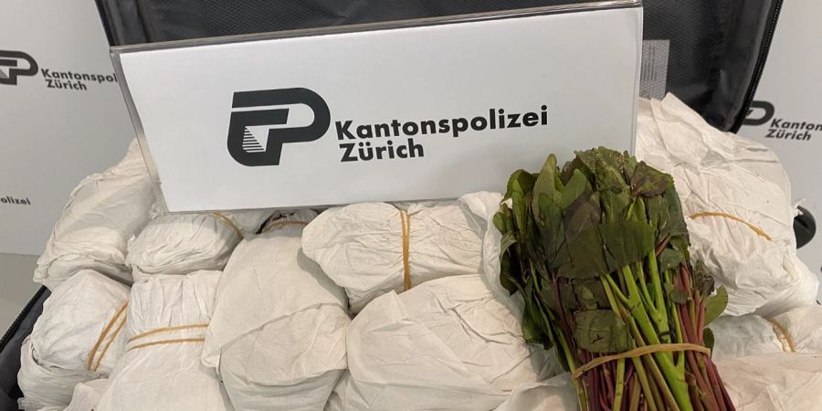 Sichergestelltes Khat in Koffer