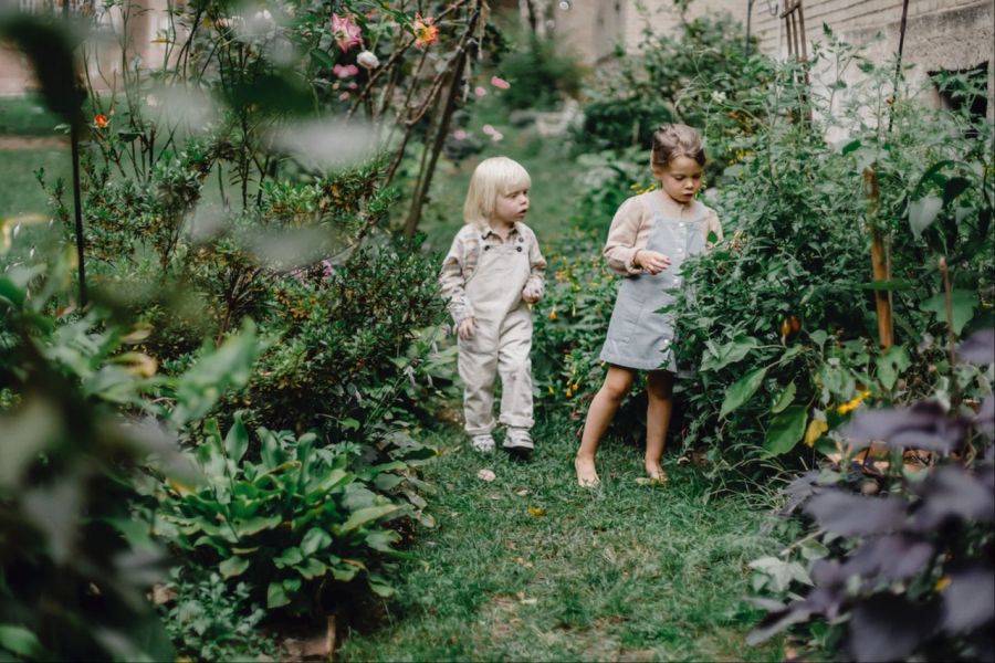 Kinder Garten Pflanzen Samen Blätter