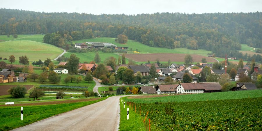 Die Kaiserstuhlstrasse Richtung Bachs ZH - Bezirk Dielsdorf