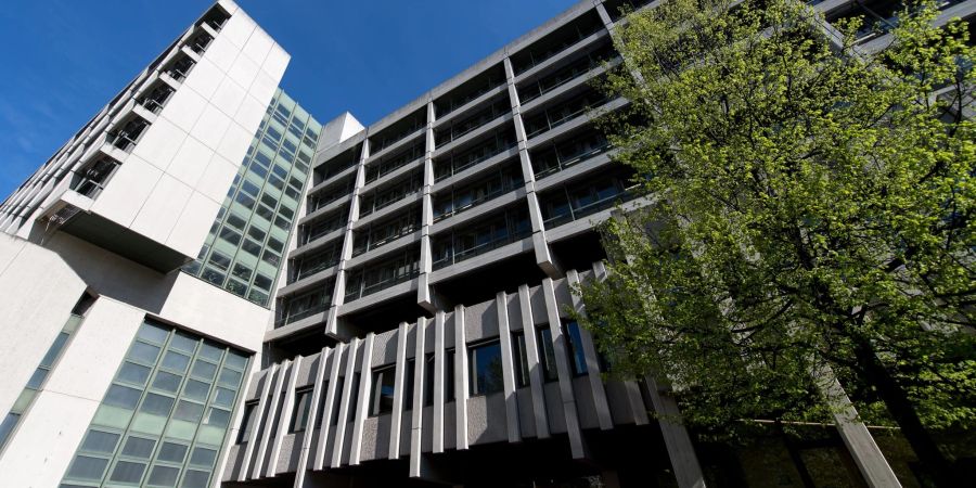 Zwei Klima-Aktivisten müssen sich vor dem Amtsgericht München verantworten, weil sie sich im August in der Alten Pinakothek an einem Rubens-Gemälde festgeklebt haben.