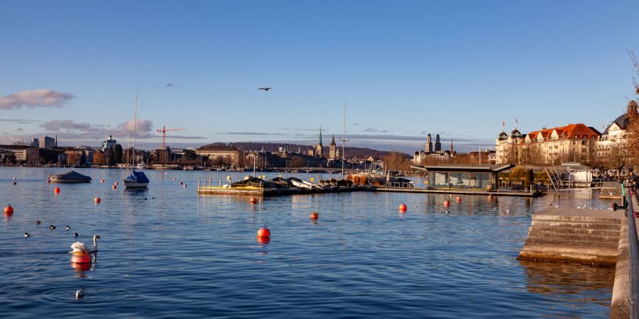 Das rechte Seeufer des Zürichsees mit Aussicht auf die Stadt Zürich.