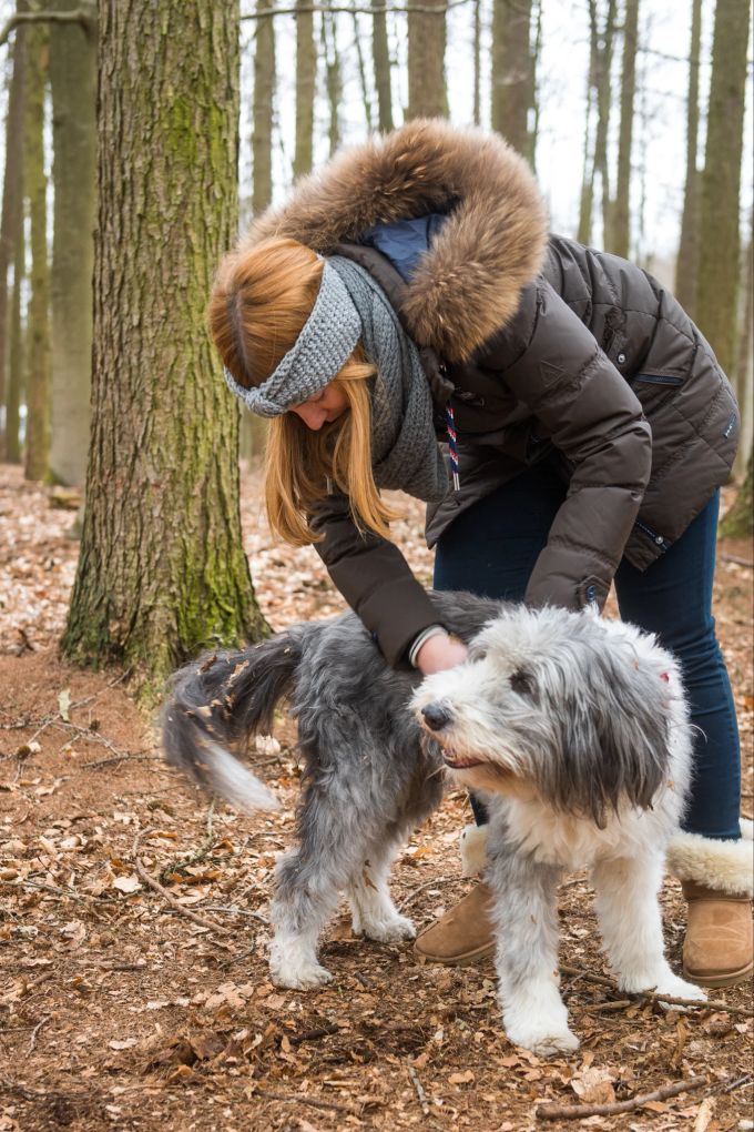 Auch wenn ein Hund auf einen Fremden zuläuft, bedeutet das nicht zwangsläufig, dass er gestreichelt werden möchte. Manchmal sind Hunde einfach nur neugierig. Besser, sich am Hosenbein beschnuppern lassen und weitergehen. Hund Frau Wald Streicheln