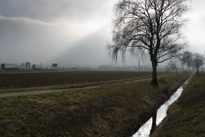 Das Wetter am Wochenende wird wechselhaft, mit viel Nebel am Sonntag (Symbolbild). nebel