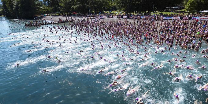 8224 Schwimmerinnen und Schwimmer nahmen an der Stadtzürcher Seeüberquerung teil. In diesem Jahr trugen alle violette Badekappen. Stadtzürcher Seeüberquerung
