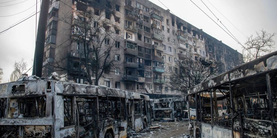 Beschädigte Häuser und Busse in Mariupol.