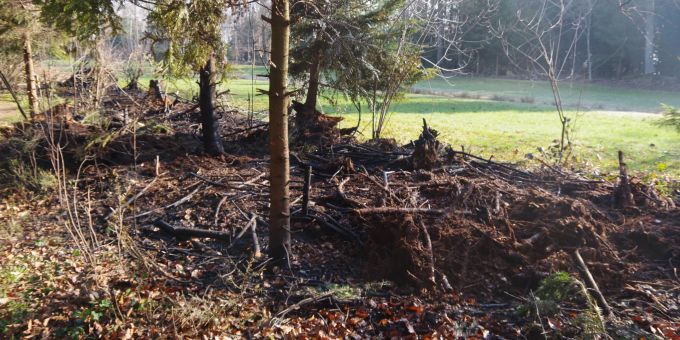 Waldbrand in Eschenbach.