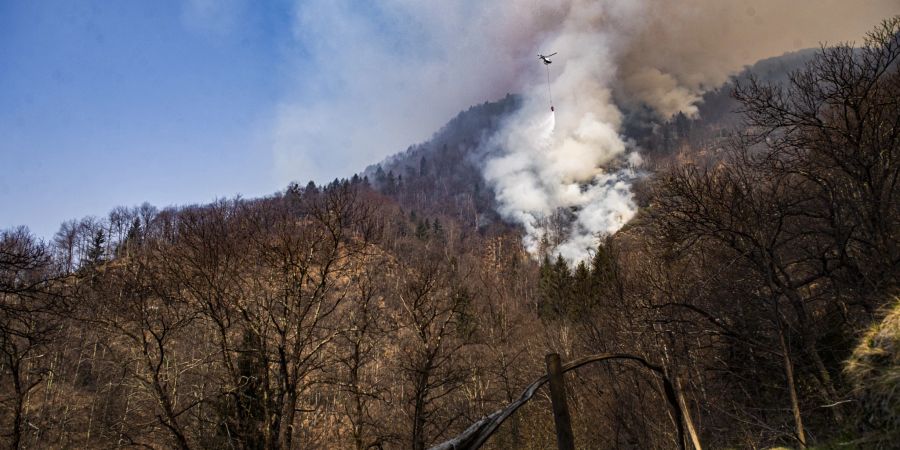 VERDASIO: INCENDIO BOSCHIVO