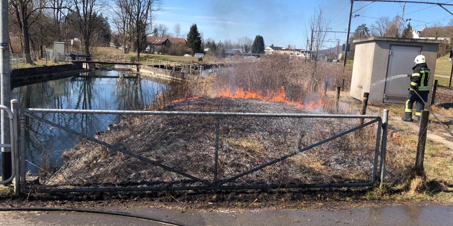 Beim Brand wurde niemand verletzt.