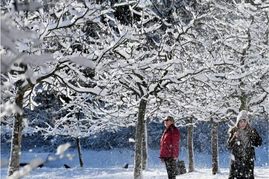 Schnee bis in die Parks der Städte im Flachland.