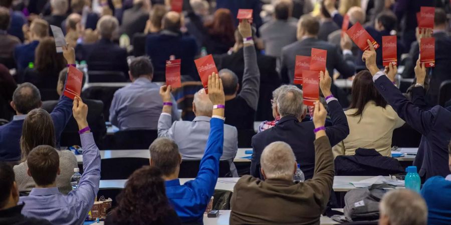 Europawahlversammlung der AfD