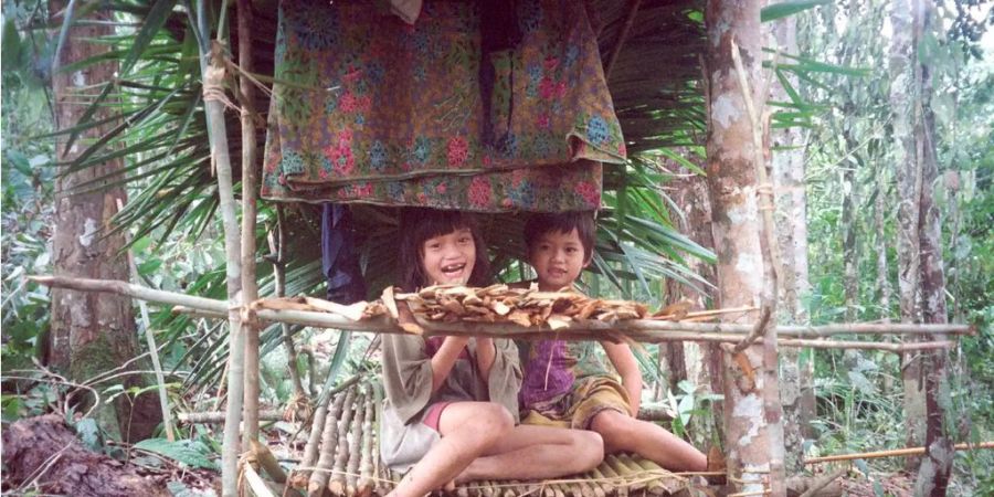 Der Bruno Manser Fonds kämpft seit 1992 für den Regenwald im malaysischen Teil der Insel Borneo.