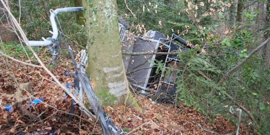 Der Kutschenführer wurde beim Sturz verletzt.