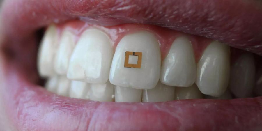 Dieser Sensor misst, was du isst. Bild: Fio Omenetto, Tufts University