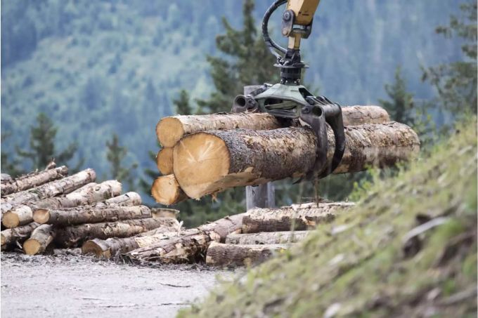 Baumstämme werden mit einem Greifarm herumgetragen - Keystone Baumstämme werden mit einem Greifarm herumgetragen - Keystone