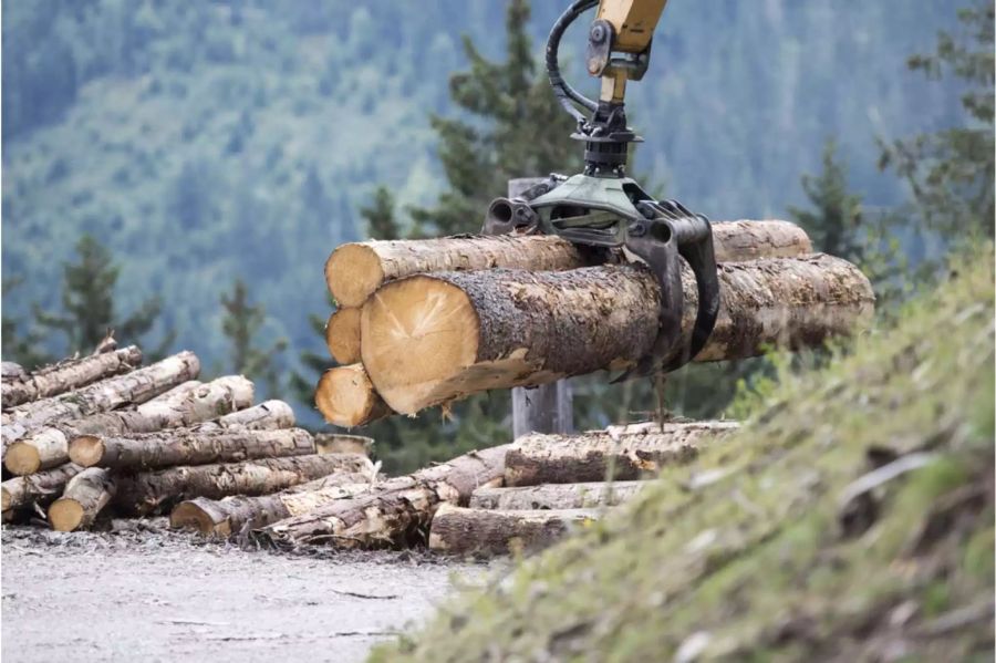 Baumstämme werden mit einem Greifarm herumgetragen - Keystone