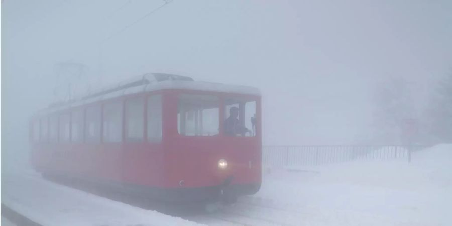 Die Rigibahn im Nebel.