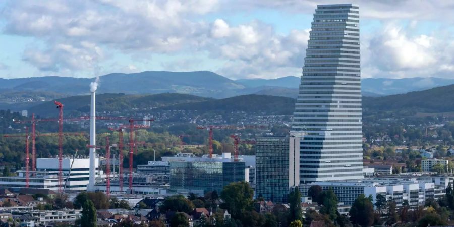 Herzog & de Meuron