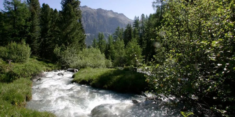Der Rabgiusabach eingangs Val Mulix im Albulatal.