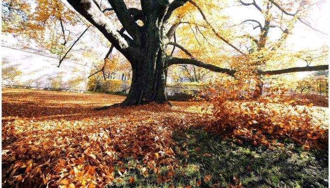 Der Herbstsaison kommt für den Schweizer Tourismus vermehrt eine stabilisierende Wirkung zu. Der Herbstsaison kommt für den Schweizer Tourismus vermehrt eine stabilisierende Wirkung zu.