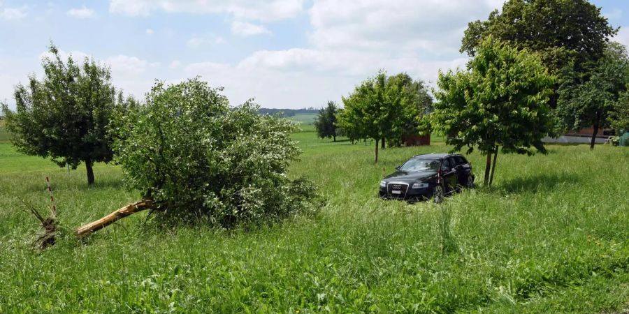 Der 25-Jährige fuhr mit seinem Auto in einen Apfelbaum.