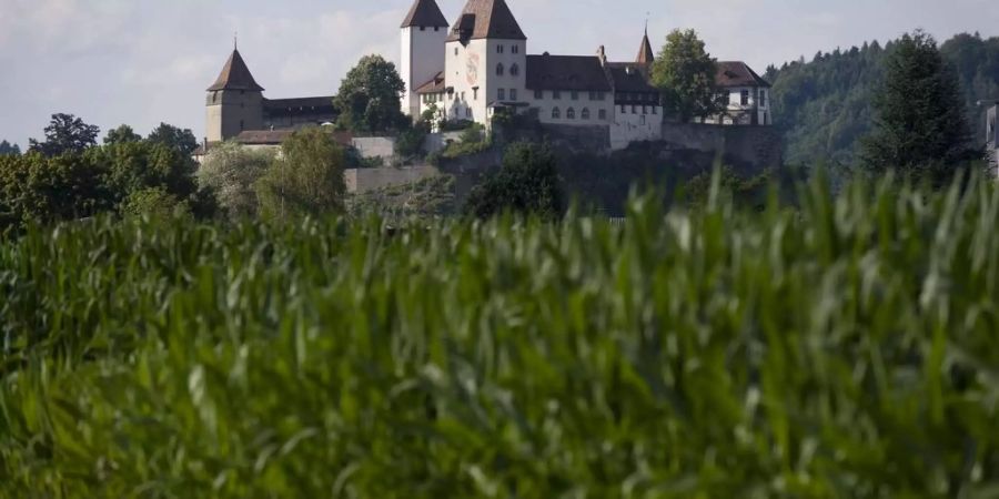 Schloss Burgdorf - Keystone
