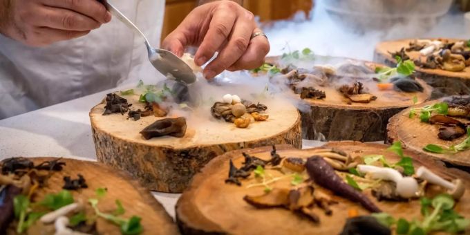 Speziell angerichtetes Essen auf Tellern aus Holzstämmen. Essen auf Baumstämmen