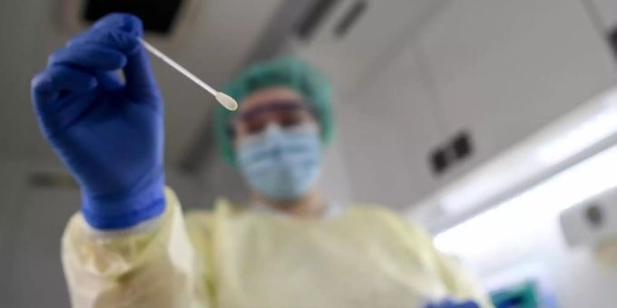 Eine Studienassistentin hält einen Tupfer für einen PCR-Test in der Hand. Polymerase-Kettenreaktion