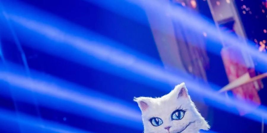 Hier ist die Figur noch dabei: «Die Katze» steht in der Prosieben-Show «The Masked Singer» Ende Oktober auf der Bühne. Foto: Rolf Vennenbernd/dpa