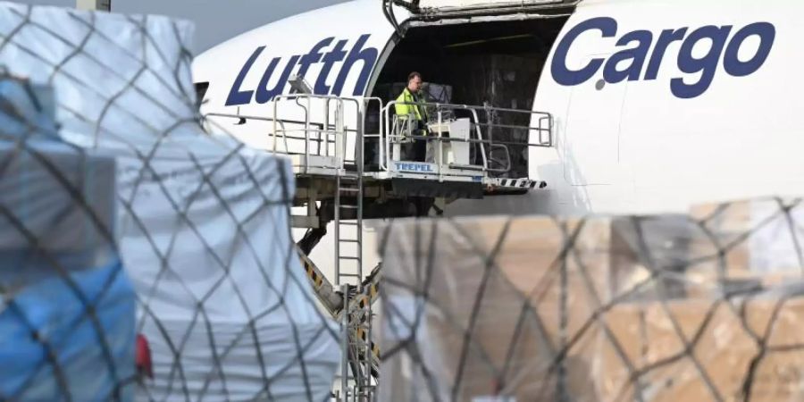 Eine MD-11 der Lufthansa Cargo wird auf dem Vorfeld des Frankfurter Flughafens beladen. Foto: Arne Dedert/dpa/Symbolbild