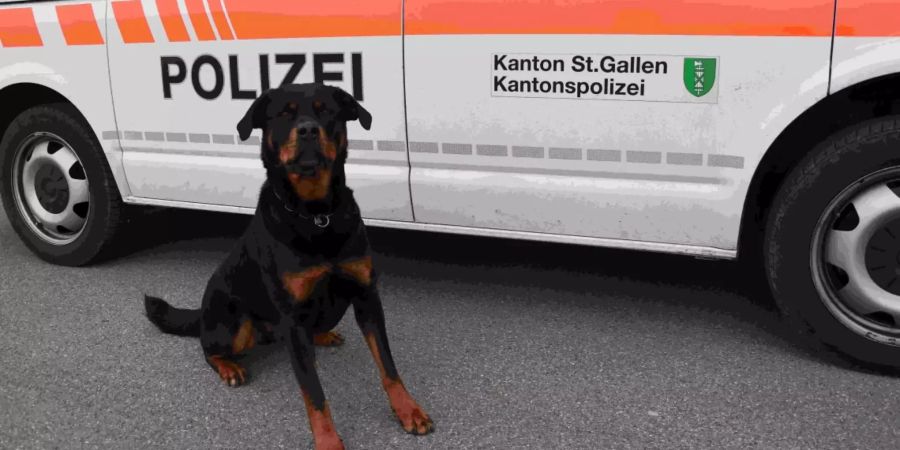 polizeihund