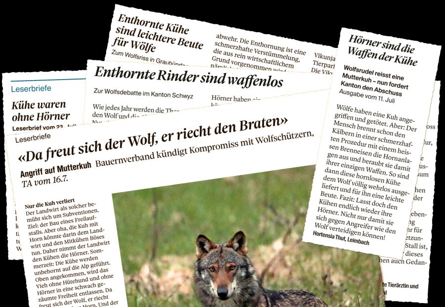 Hornkuh Kuhhörner Wolf Leserbriefe