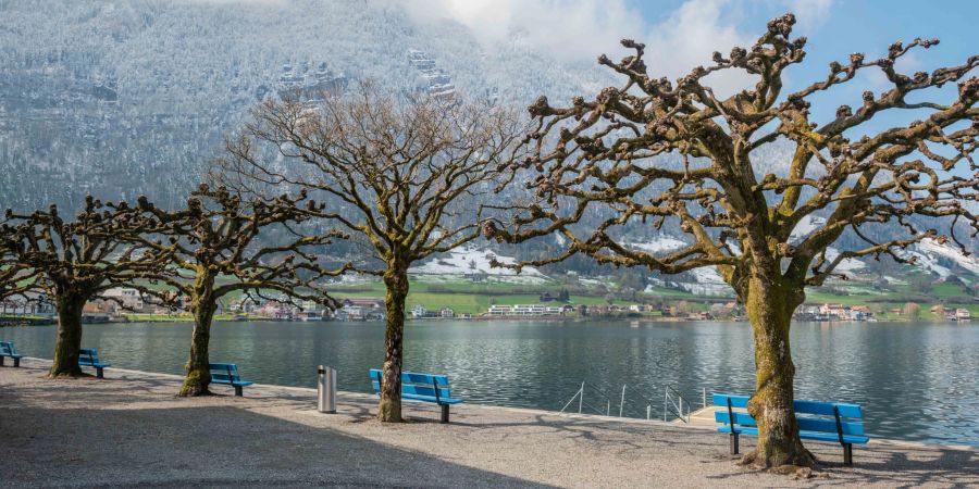 Die Seepromenade in Arth am Südufer des Zugersees.