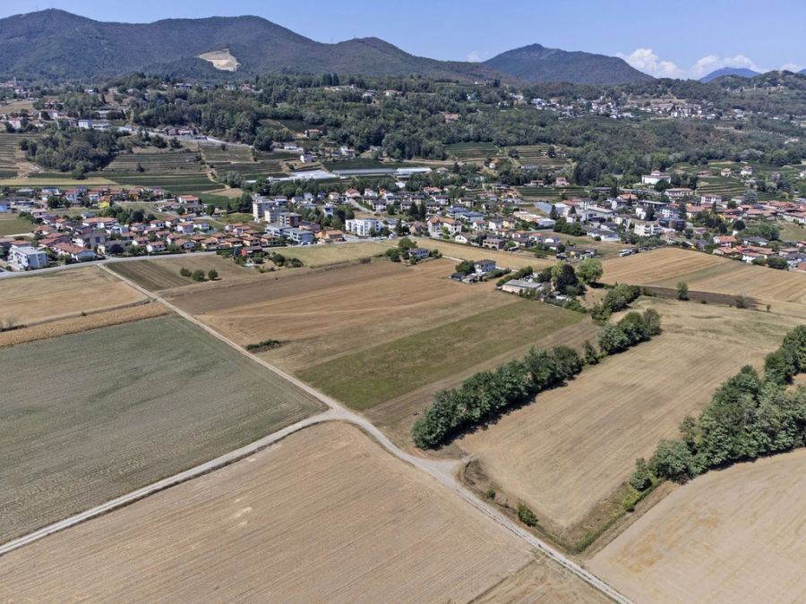 Statt grün sind die Schweizer Felder diesen Sommer braun.