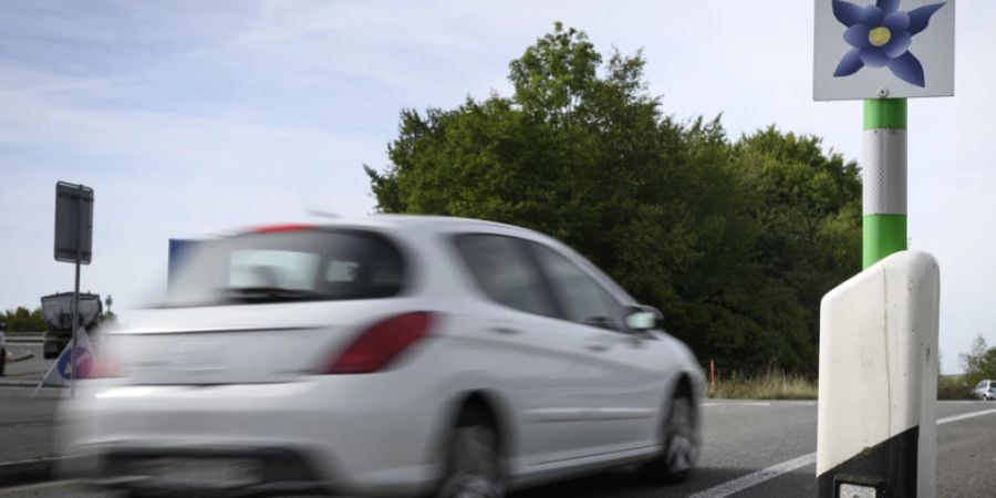 Das kleine Schild mit einer blauen Blume auf weissem Hintergrund signalisiert dem Strassenunterhaltspersonal, eine differenzierte Pflege der Autobahnränder zu praktizieren.