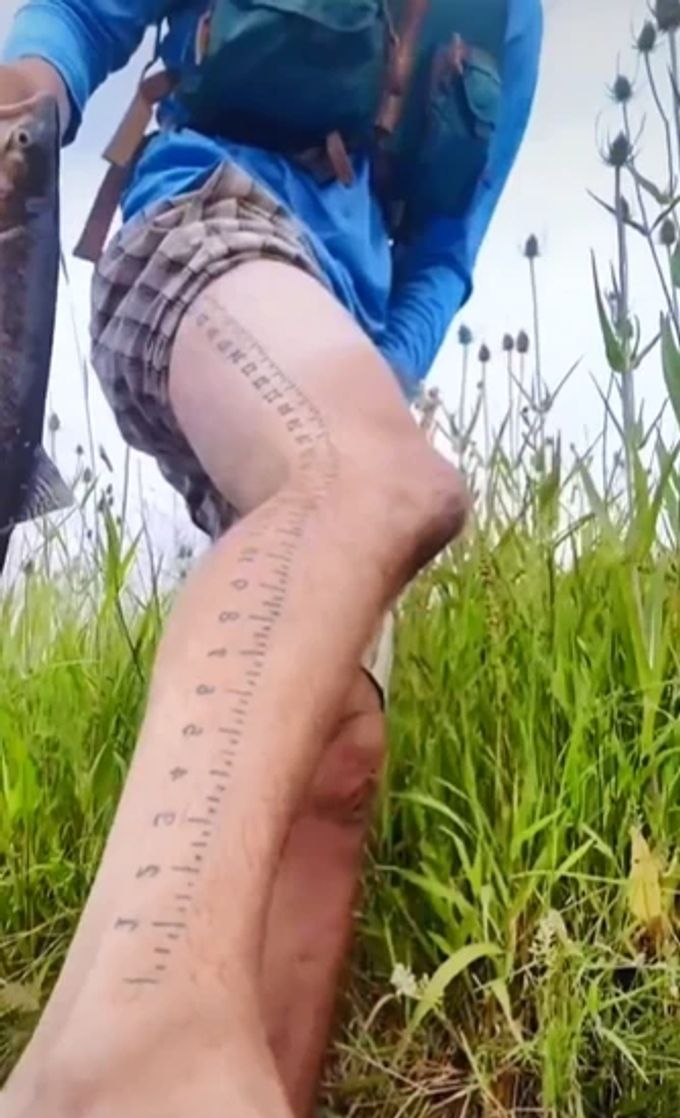 Fischer Tattoo