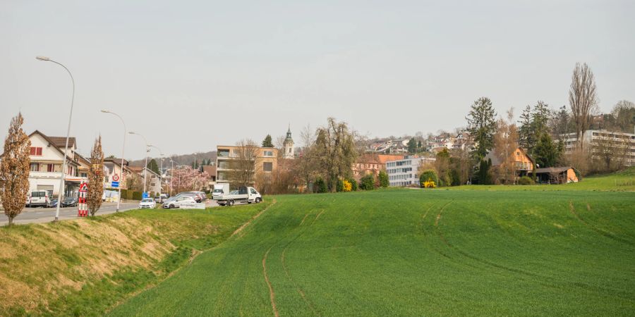 Blick auf die Gemeinde Hitzkirch.