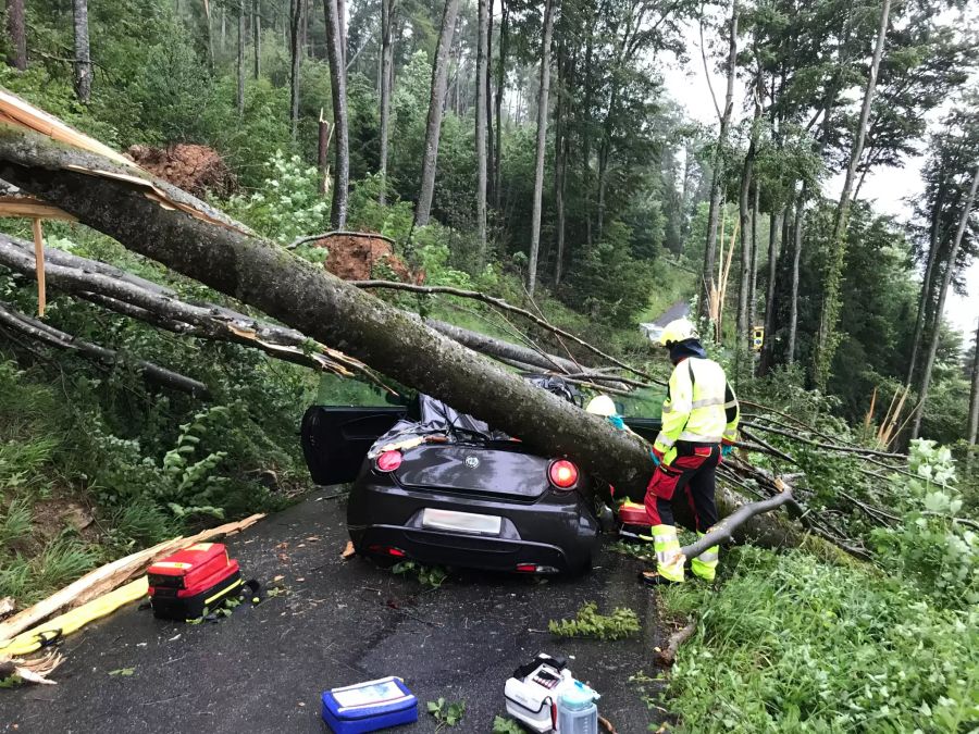 Im Kanton Obwalden stürzte ein Baum auf ein Auto.