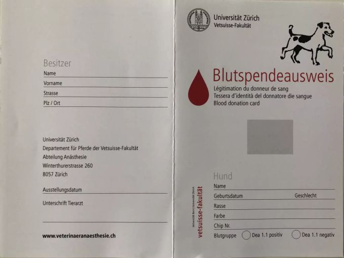 Die Tiere, die Blut spenden, erhalten einen Blutspendeausweis. Laut der Studie aus Grossbritannien wissen viele nicht, dass das eine Möglichkeit sei. Spenderausweis Hund