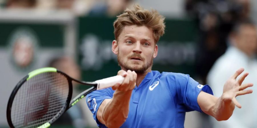 David Goffin