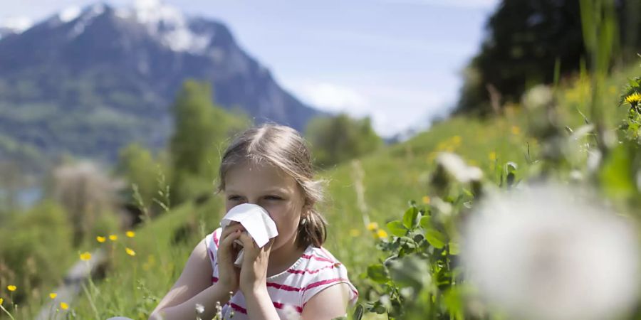 Vor allem die Gräserpollen sorgten in diesem Jahr für allergische Reaktionen wie Heuschnupfen. (Symbolbild)