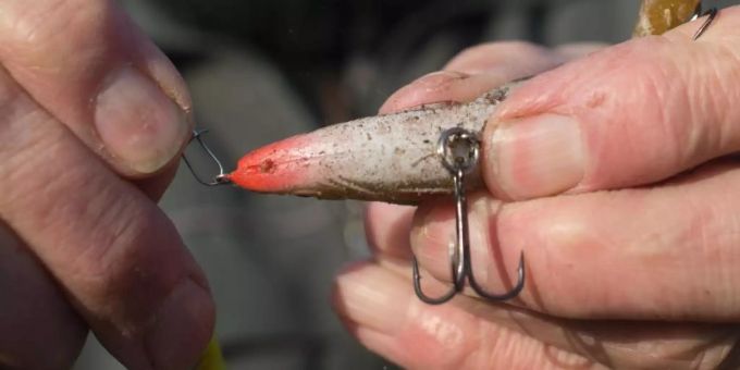 Ein Angler bereitet seine Angel vor und hängt einen Drilling an die Angelschnur. Der Fischereiverband beschäftigt sich derzeit mit dem Kliamwandel. Foto: Klaus-Dietmar Gabbert Ein Angler bereitet seine Angel vor und hängt einen Drilling an die Angelschnur. Der Fischereiverband beschäftigt sich derzeit mit dem Kliamwandel. Foto: Klaus-Dietmar Gabbert