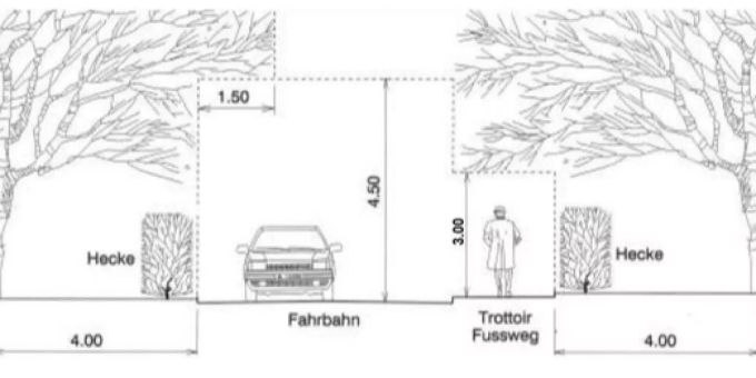 Bäume und Sträucher Bäume und Sträucher