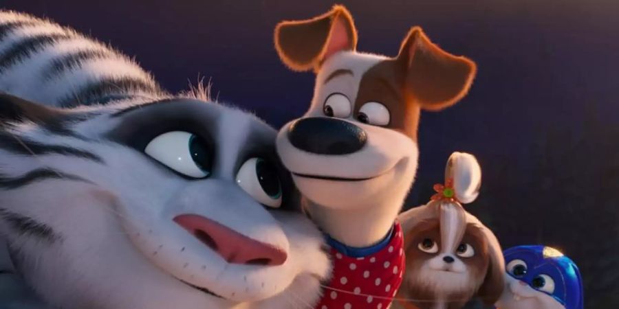 Hu, Max, Daisy und Snowball erleben in «Pets 2» aufregende Abenteuer. Foto: Illumination Entertainment and U/Universal Pictures