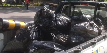 Clean Up Day 2019
