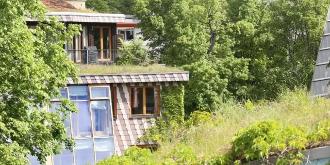 Begrünte Dächer wie bei diesen Öko-Häuser des Architekten Frei Otto in Berlin können die Umgebungstemperatur senken. Foto: Stephanie Pilick Begrünte Dächer wie bei diesen Öko-Häuser des Architekten Frei Otto in Berlin können die Umgebungstemperatur senken. Foto: Stephanie Pilick