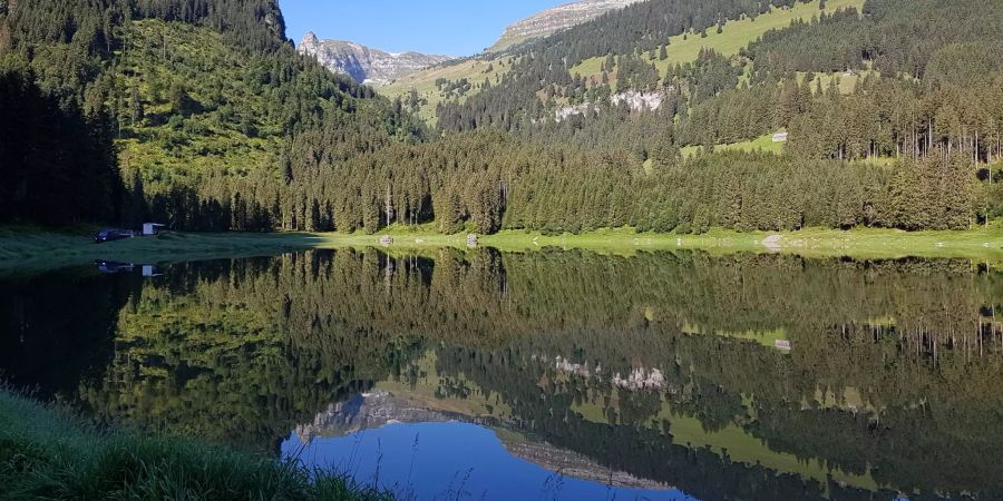 Beim Schwimmen im Voralpsee untergegangen
