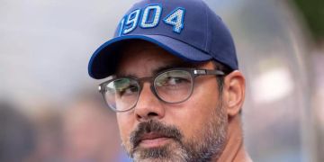 david wagner fc schalke 04